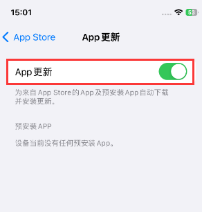 茌平苹果15维修中心如何让iPhone15APP自动更新